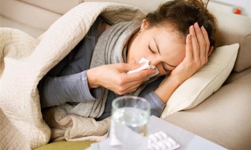 穿破石寄生有什么药用价值网 | 穿破石寄生功效,穿破石寄生有什么药用价值呢