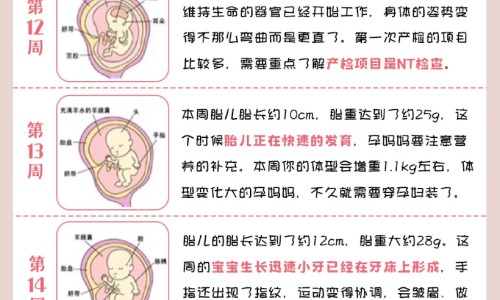 穿破石寄生有什么药用价值网 | 穿破石寄生功效,穿破石寄生有什么药用价值呢