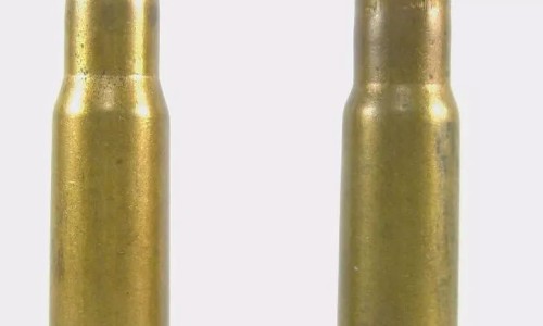 穿破石寄生有什么药用价值网 | 穿破石寄生功效,穿破石寄生有什么药用价值呢